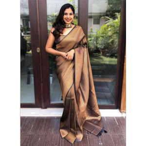 Black Color Banarasi Saree with Copper Zari Weaving