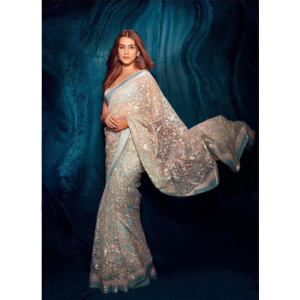 White Color Organza Saree with Lace Border on all over Saree