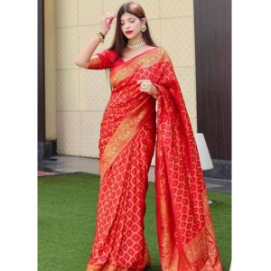 Pink Red Color Banarasi Saree for Indian Weddings